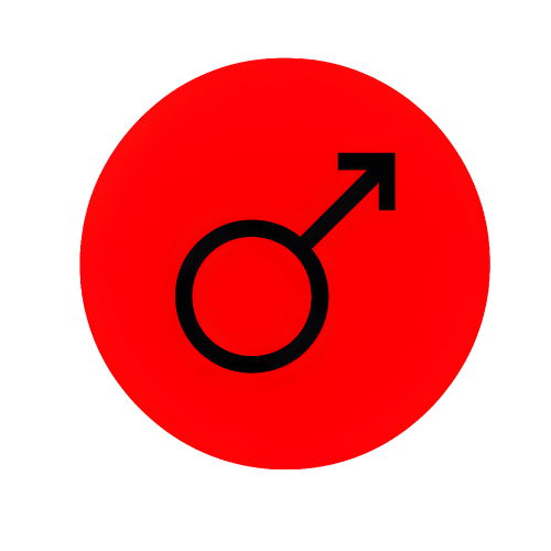 Untitled design (55)